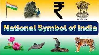 Learn National Symbols of India| National | Indian Symbols for Kids in English | #nationalsymbols