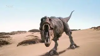 Dinousaurs are cool