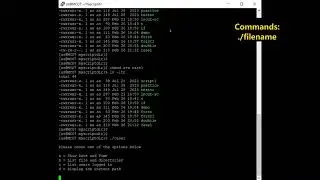 Linux 93 (Case Statement Scripts)