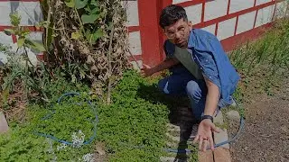 Ye m khan a gaya 😊
