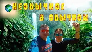 Почему так?  Ситуация из жизни.