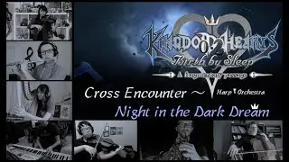 Kingdom Hearts BBS/III - Night in the Dark Dream