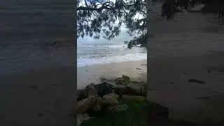 Shelley Beach, Nambucca Heads during high tide and a rough sea. Jan. 3rd 2022. #shorts