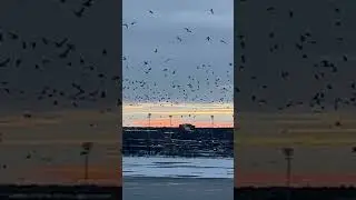 Рижское бдение. Рандомные нарезки 