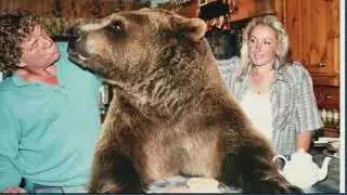 Hercules The Bear Andy Maggie Robin gtritchie5
