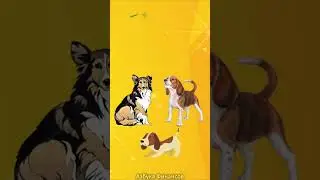 7/ Богатые и Бедные!  