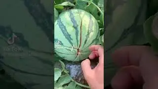 WOW😱