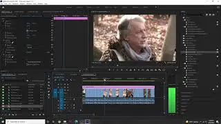 Adobe Premiere Pro Chapter 12.3 Adjustment layers & blend mode