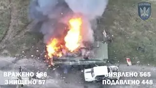 Відеозвіт ВЙО за січень 2024Очі та Жало: хробачий жах Ваші Птахи М