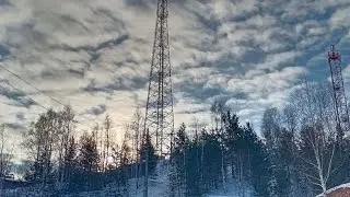 ‼️ЭКСТРЕННОЕ ВКЛЮЧЕНИЕ ИЗ ЛЕСА