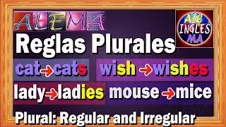 Plural and Singular Nouns in English - Exercises - Plural Rules - Lesson # 16