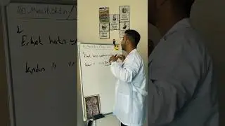 Erkek hep özür diler