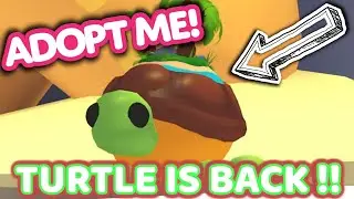 Adopt Me TURTLE is BACK !! 