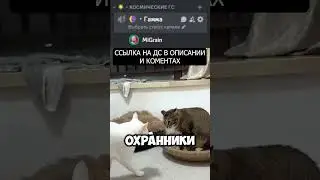 ШУТКИ №5 #рекомендации #игры #дота #дискорд #дискордсервер #геншинимпакт #аниме #игры #гта #ксго #дс