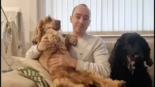 Dogs, golf and chats