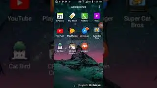 Enseñando juegos de gatos y uno de clash royale