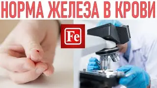 НОРМА ЖЕЛЕЗА В КРОВИ | Причины понижения и повышения уровня железа