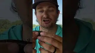 FISH Eat Live Bait and THIS 