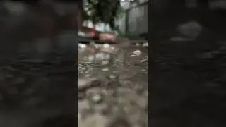 Дождливое утро 