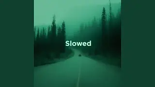 thoughts don't leave me at night (slowed)