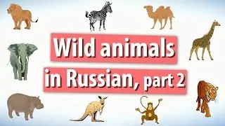Wild animals in Russian. Part 2.