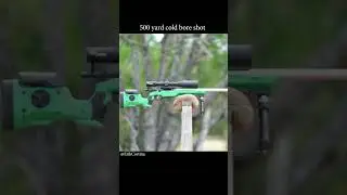 Did he hit it?  Cold bore shot, 500 yards.