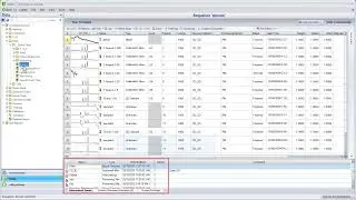 Data Category in the Thermo Scientific Chromeleon Chromatography Data System