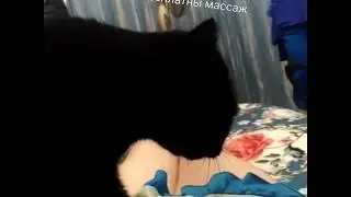 мои будни и бесплатный массаж