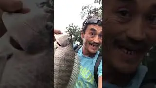 What happened to my bass?