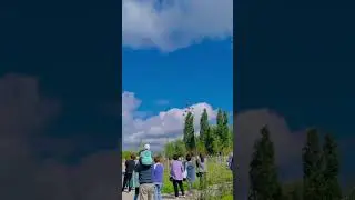 Стрижи в Чебоксарах #чебоксары  #деньгорода  #стрижи #чебоксары555