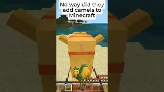 MINECRAFT ADDED CAMELS #shorts #minecraft #minecraftshorts #minecraftmemes