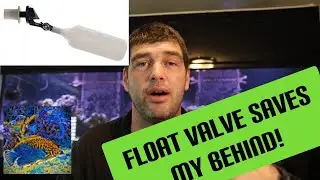 AUTO TOP OFF FAIL!  Flood?...almost