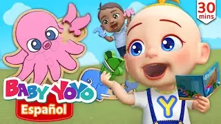 The Sea Animal Song | Kids Song | Learn Animal Name | more Nursery rhymes | Baby yoyo