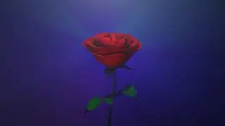 Romance  Rose Backround video free dwonlod