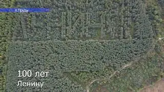 DJI MINI 2 l 100 лет Ленину