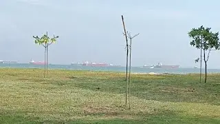 NICE CALMING BEACH SOUNDS
