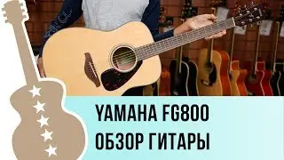 Yamaha FG800 Обзор акустической гитары