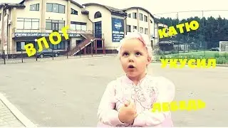 ВЛОГ: Катя - Фея. Домик с бабочками. Катю укусил лебедь.