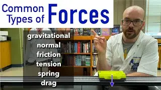 Six Common Types of Forces (BFPM Cheat Sheet)