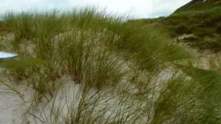 Trip to Stornoway