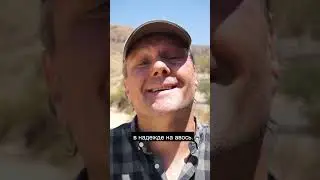 Как просрали СВО