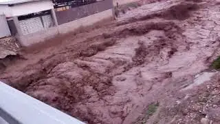 Катта сел келди. Уяли