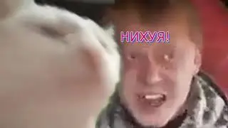 Белый кот флексит с мужиками в уазике под ГОЛОСОВАНИЕ