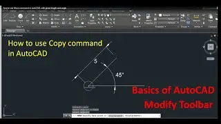 how to use copy command in autoCAD, with given length and angle