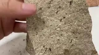 Weathering tourmaline microgranite