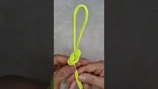 Figure Eight loop Knot-Everyone's Favorite Knot #shorts #shortsyoutube #Tutorial #knottutorial