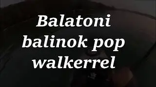 Balatoni balinok Savage Gear Pop Walkerrel