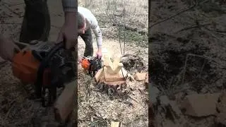 Стульчик из спила дерева