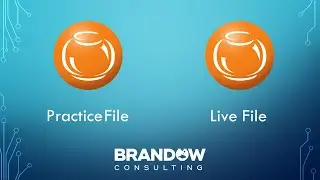 Practice / Test / Sandbox setup - Fishbowl Tutorial