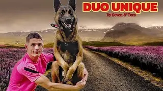 Seven et Tom : Le Duo Unique ! 🐶✨